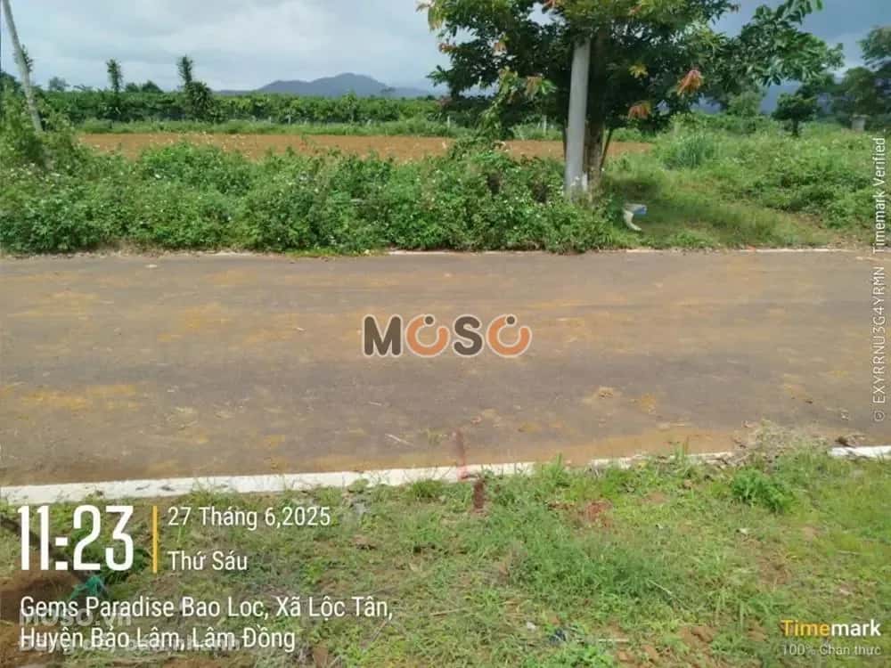 Bán đất Huyện Bảo Lâm, Lâm Đồng – giá 452.3 triệu - ảnh 4
