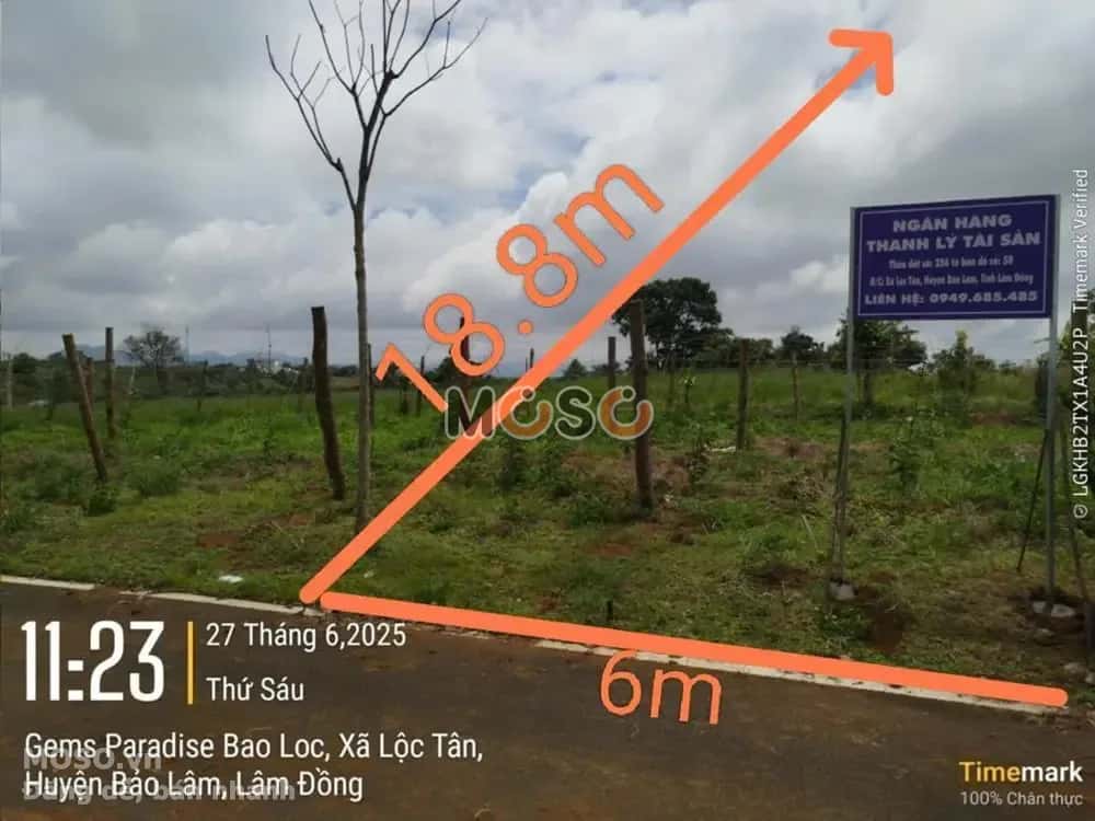 Bán đất Huyện Bảo Lâm, Lâm Đồng – giá 447 triệu - ảnh 1