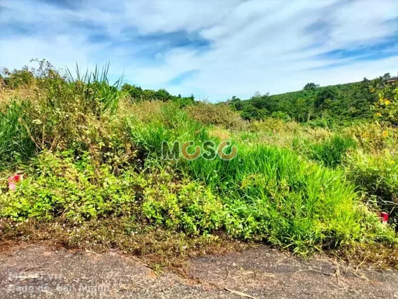 Bán đất Huyện Bảo Lâm, Lâm Đồng – giá 363 triệu - ảnh 2