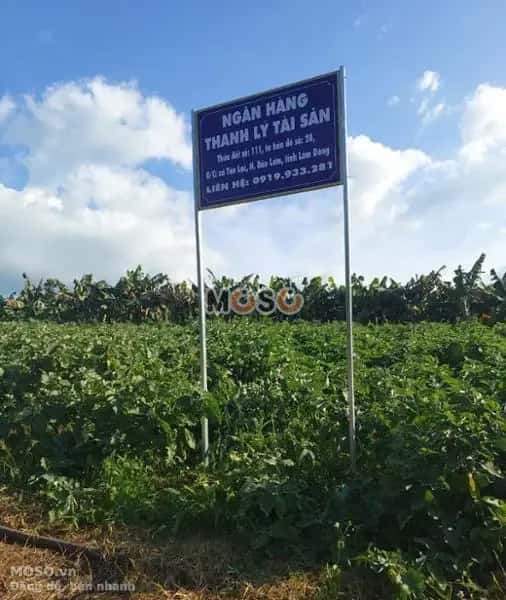 Bán đất Huyện Bảo Lâm, Lâm Đồng – giá 287 triệu - ảnh 5