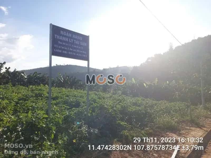 Bán đất Huyện Bảo Lâm, Lâm Đồng – giá 287 triệu - ảnh 4