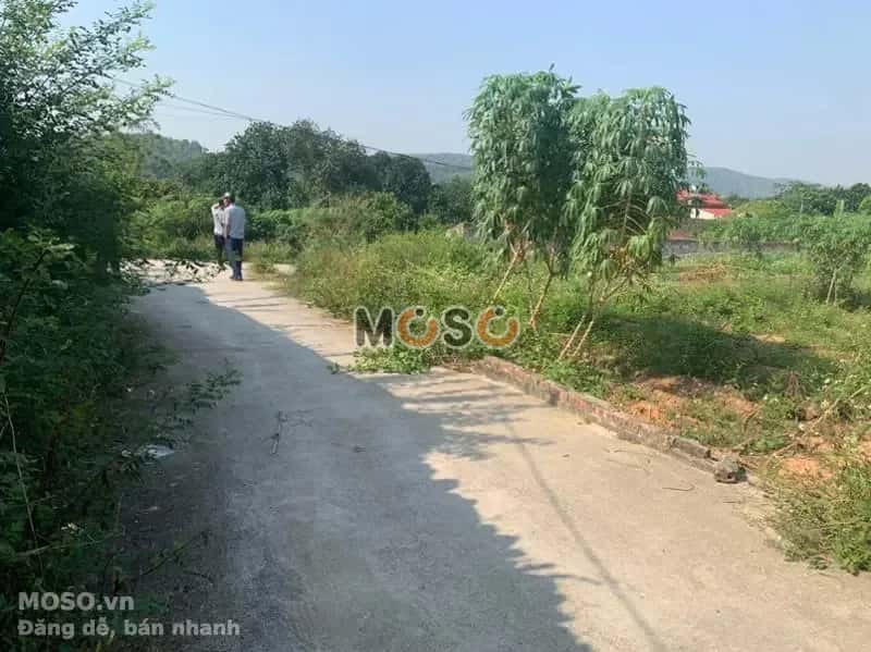 Bán đất Huyện Quế Võ, Bắc Ninh – giá 1.2 tỷ - ảnh 3