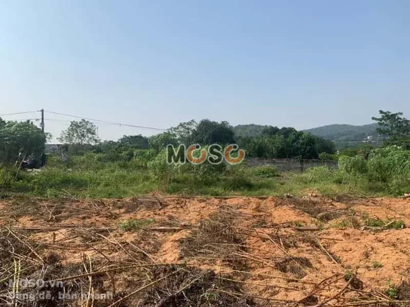 Bán đất Huyện Quế Võ, Bắc Ninh – giá 1.2 tỷ - ảnh 5