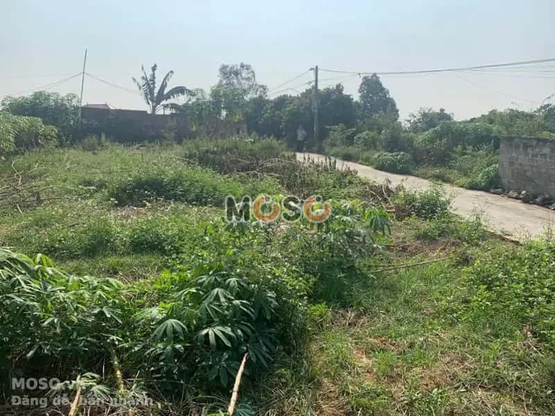 Bán đất Huyện Quế Võ, Bắc Ninh – giá 1.4 tỷ - ảnh 6