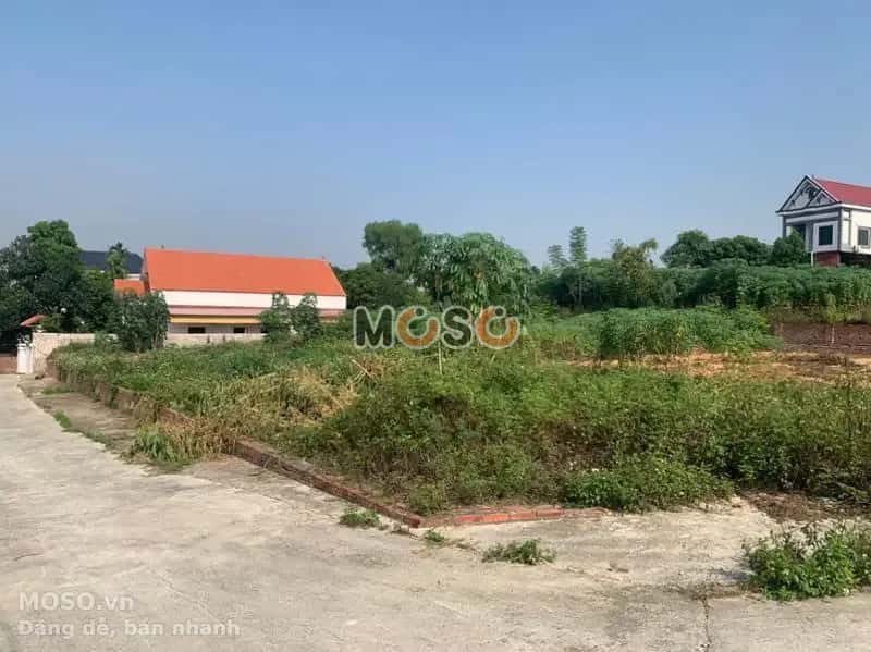 Bán đất Huyện Quế Võ, Bắc Ninh – giá 1.4 tỷ - ảnh 5