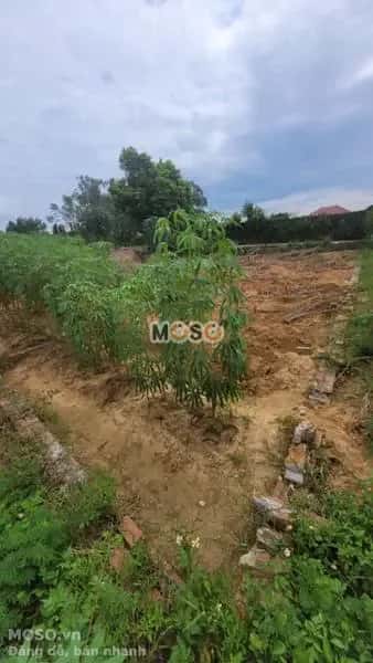 Bán đất Huyện Quế Võ, Bắc Ninh – giá 1.3 tỷ - ảnh 5
