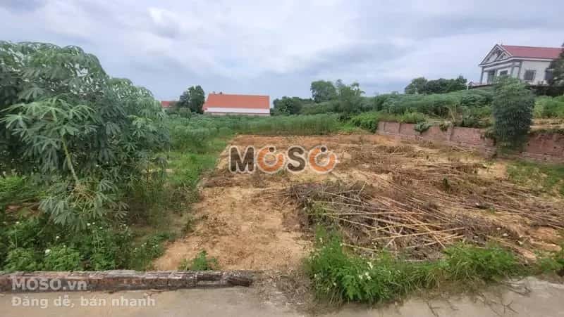 Bán đất Huyện Quế Võ, Bắc Ninh – giá 1.3 tỷ - ảnh 2