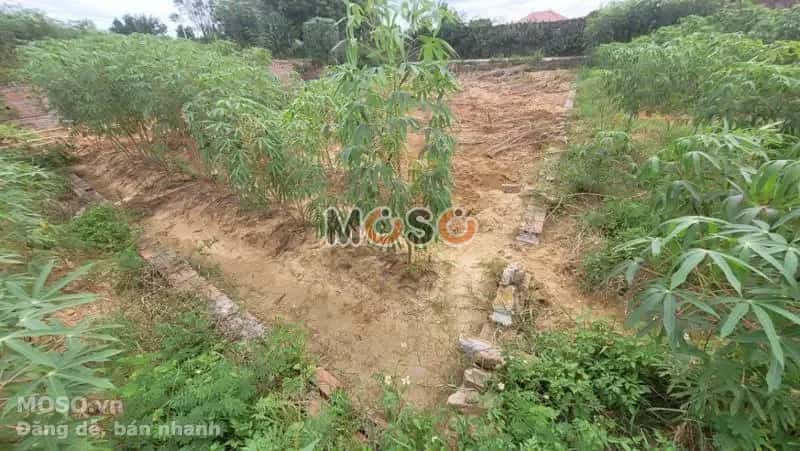 Bán đất Huyện Quế Võ, Bắc Ninh – giá 1.3 tỷ - ảnh 4