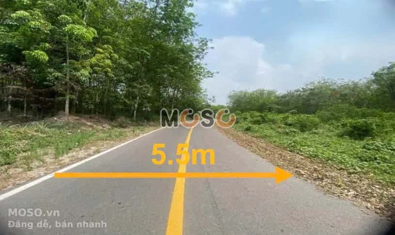 Bán đất Huyện Bắc Tân Uyên, Bình Dương – giá 1.3 tỷ - ảnh 2