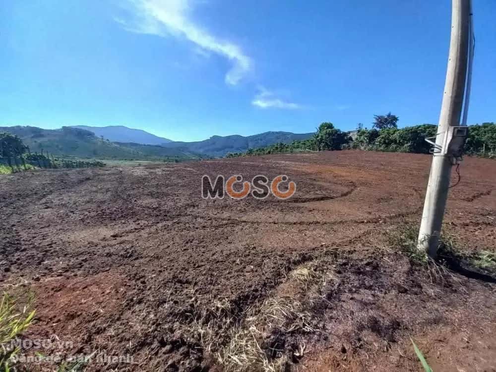 Bán đất Huyện Di Linh, Lâm Đồng – giá 4.3 tỷ - ảnh 5
