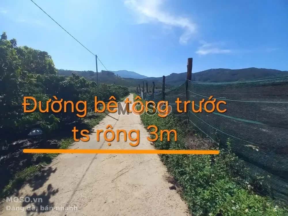Bán đất Huyện Di Linh, Lâm Đồng – giá 4.3 tỷ - ảnh 2