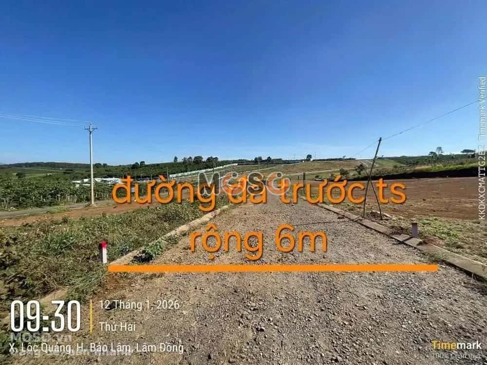 Bán đất Huyện Bảo Lâm, Lâm Đồng – giá 448 triệu - ảnh 2