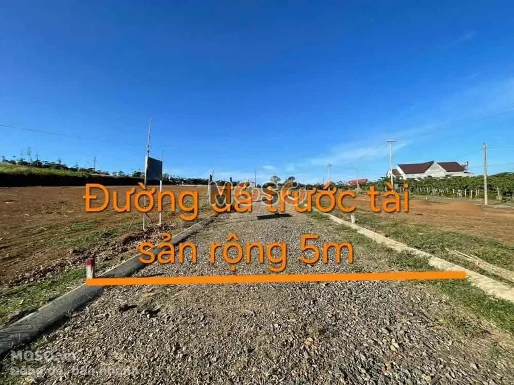 Bán đất Huyện Bảo Lâm, Lâm Đồng – giá 480 triệu - ảnh 2