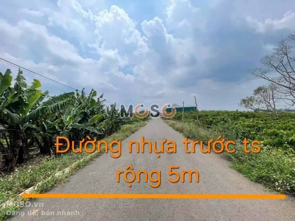Bán đất Huyện Bảo Lâm, Lâm Đồng – giá 410.5 triệu - ảnh 2