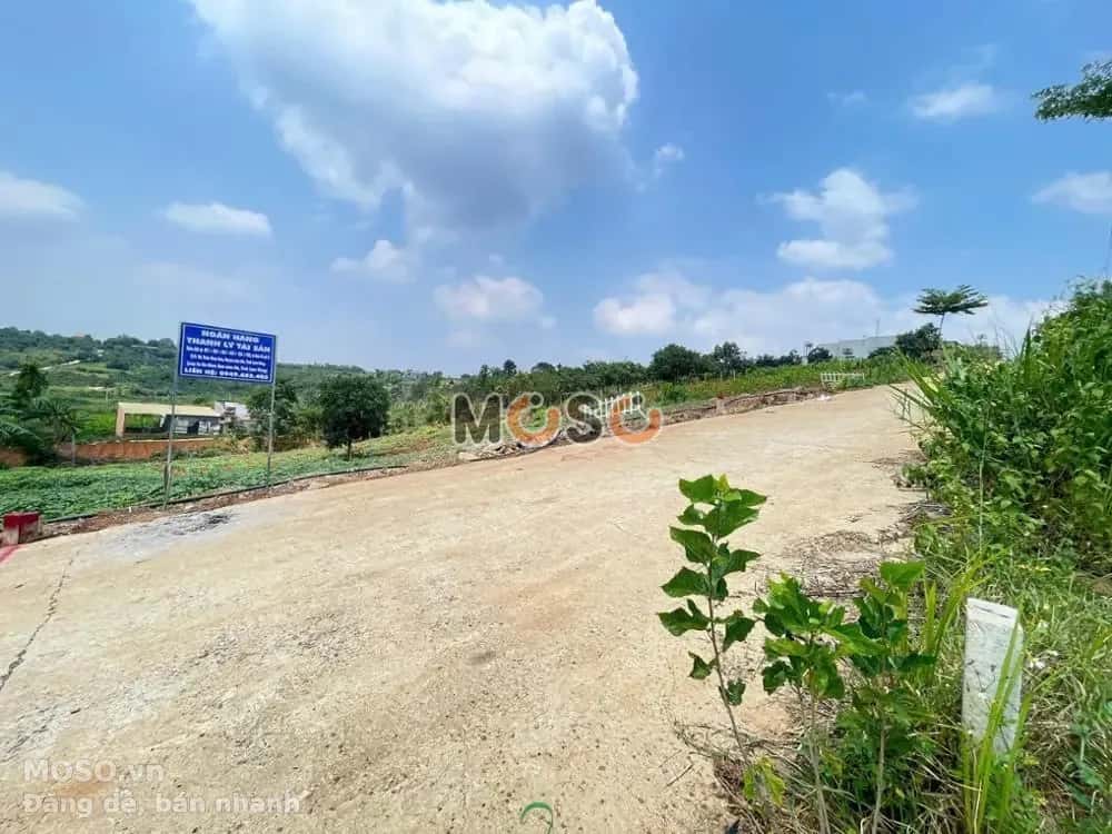 Bán đất Huyện Lâm Hà, Lâm Đồng – giá 1 tỷ - ảnh 4
