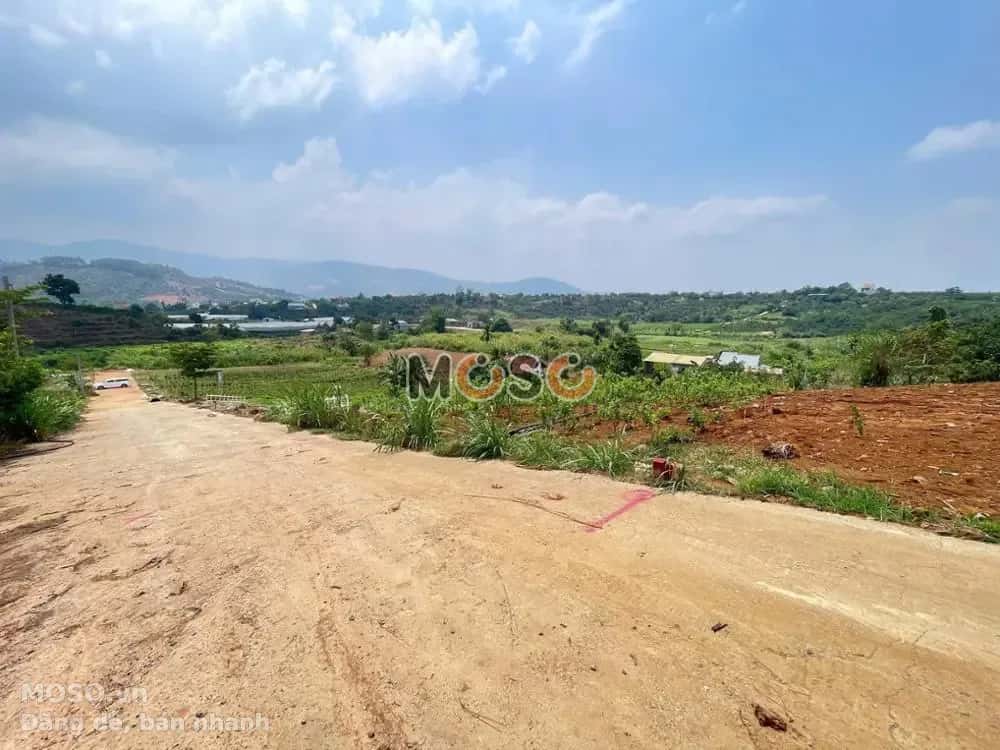 Bán đất Huyện Lâm Hà, Lâm Đồng – giá 993 triệu - ảnh 5