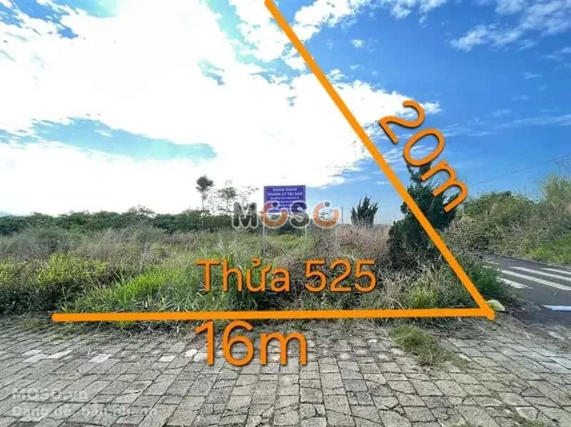 Bán đất Huyện Bảo Lâm, Lâm Đồng – giá 1 tỷ - ảnh 1