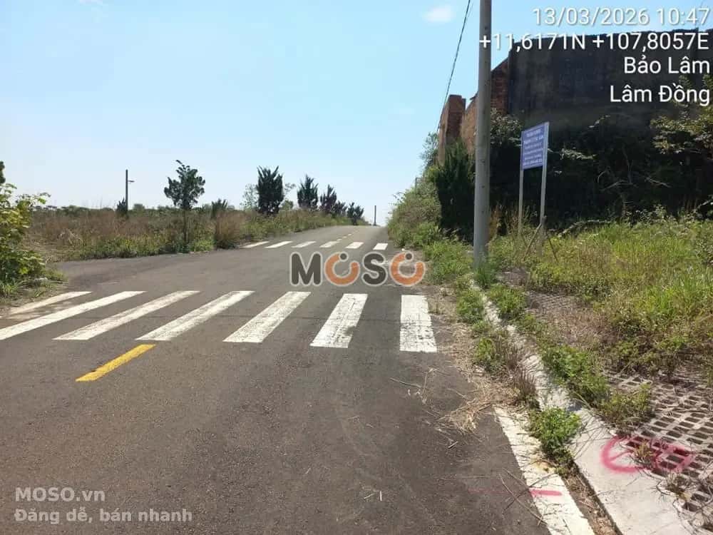 Bán đất Huyện Bảo Lâm, Lâm Đồng – giá 860 triệu - ảnh 5