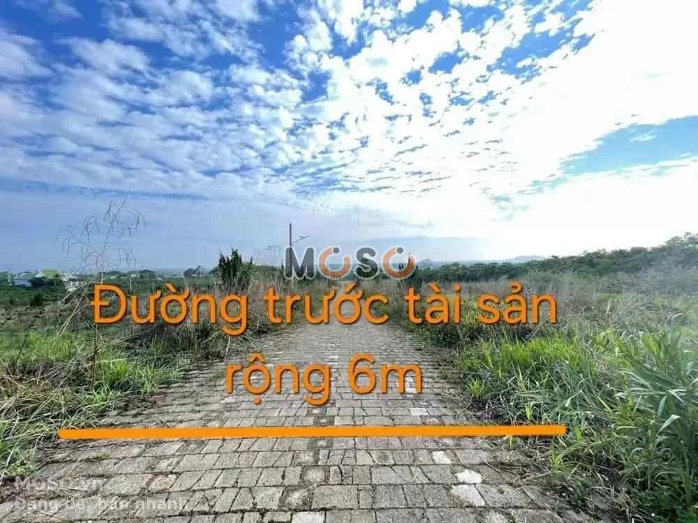 Bán đất Huyện Bảo Lâm, Lâm Đồng – giá 1 tỷ - ảnh 2