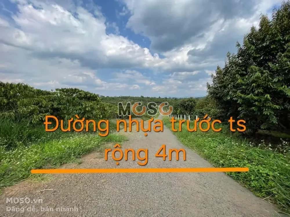 Bán đất Huyện Bảo Lâm, Lâm Đồng – giá 401.2 triệu - ảnh 2