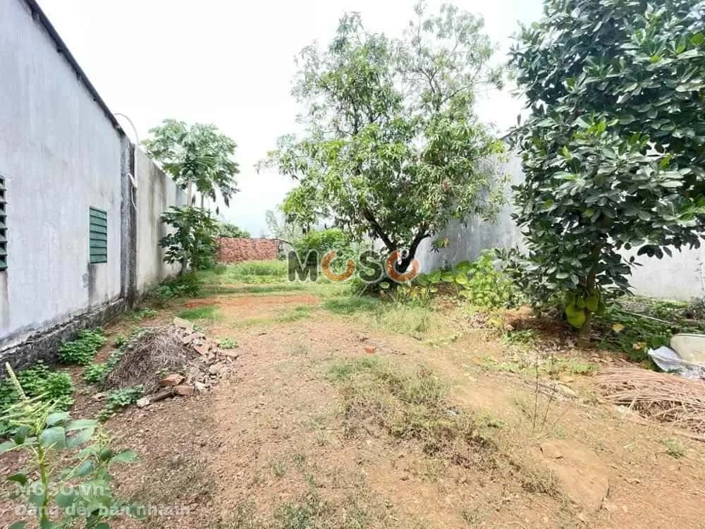 Bán đất Đường D11 Huyện Trảng Bom, Đồng Nai – giá 1.6 tỷ - ảnh 4