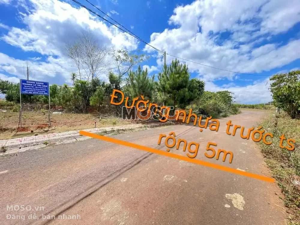 Bán đất Đường Số 3 Huyện Bảo Lâm, Lâm Đồng – giá 395.7 triệu - ảnh 2