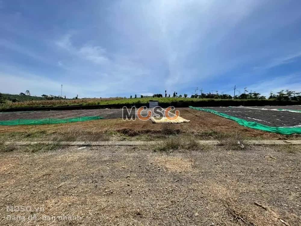 Bán đất Huyện Bảo Lâm, Lâm Đồng – giá 719.2 triệu - ảnh 2