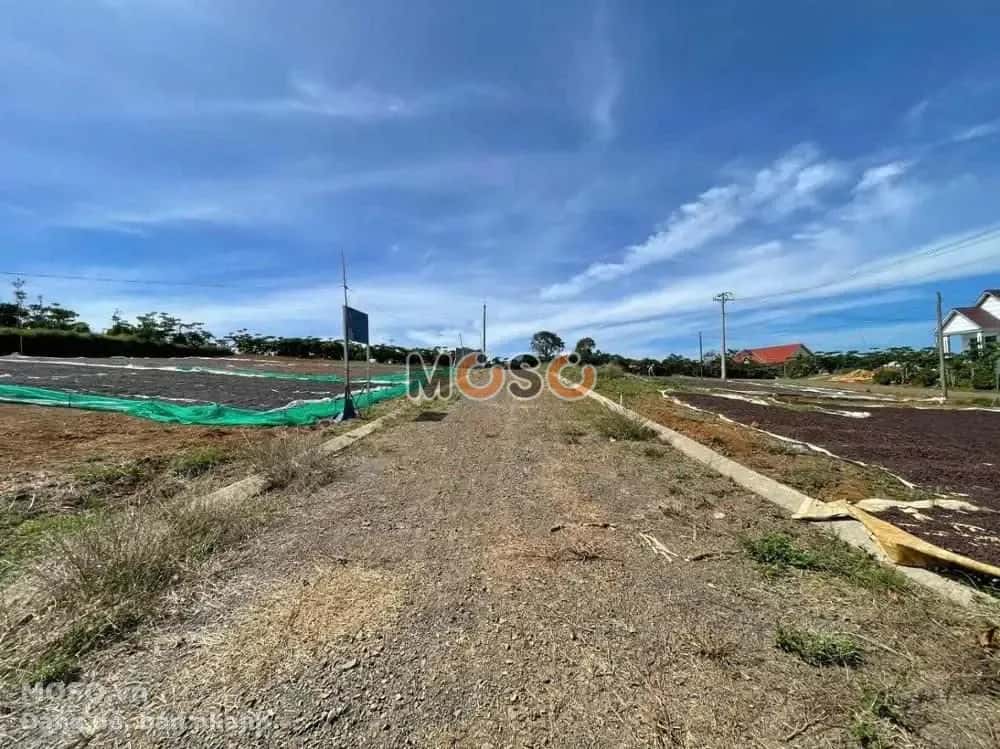 Bán đất Huyện Bảo Lâm, Lâm Đồng – giá 719.2 triệu - ảnh 3