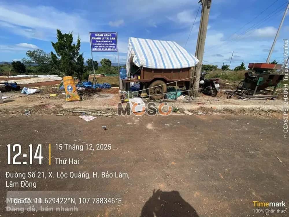 Bán đất Huyện Bảo Lâm, Lâm Đồng – giá 467 triệu - ảnh 3