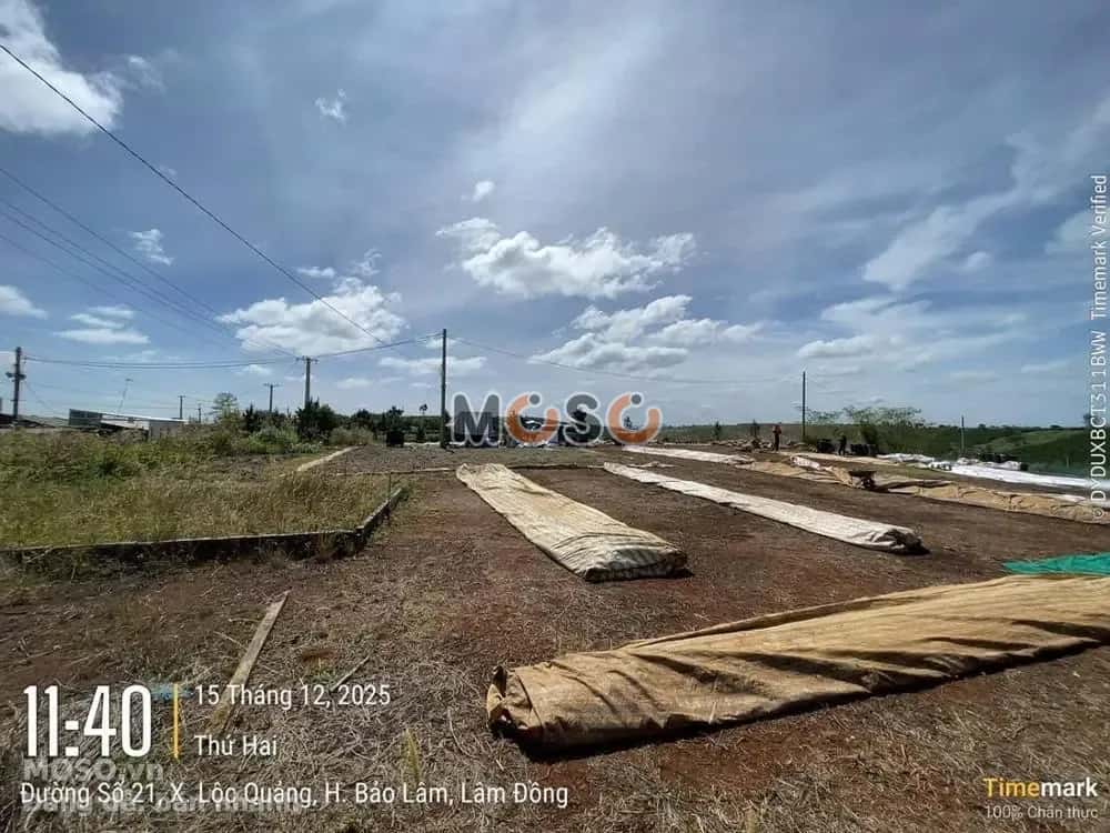Bán đất Huyện Bảo Lâm, Lâm Đồng – giá 467 triệu - ảnh 4