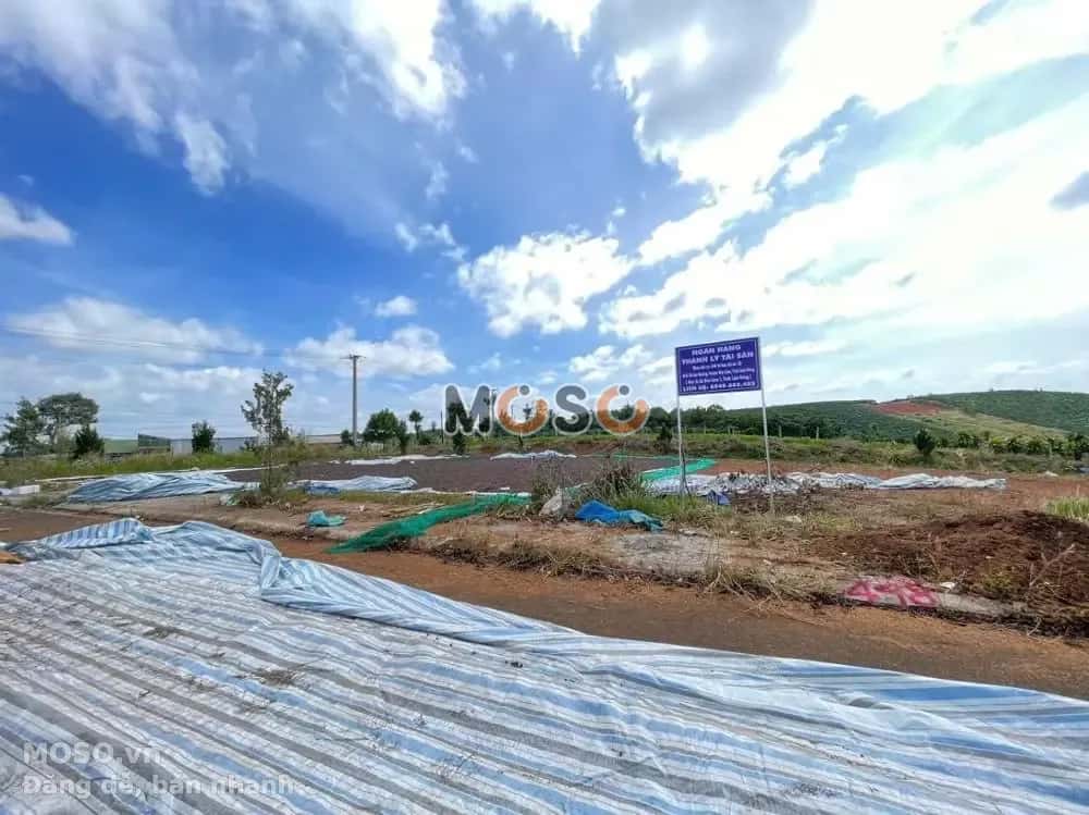 Bán đất Huyện Bảo Lâm, Lâm Đồng – giá 471.5 triệu - ảnh 3