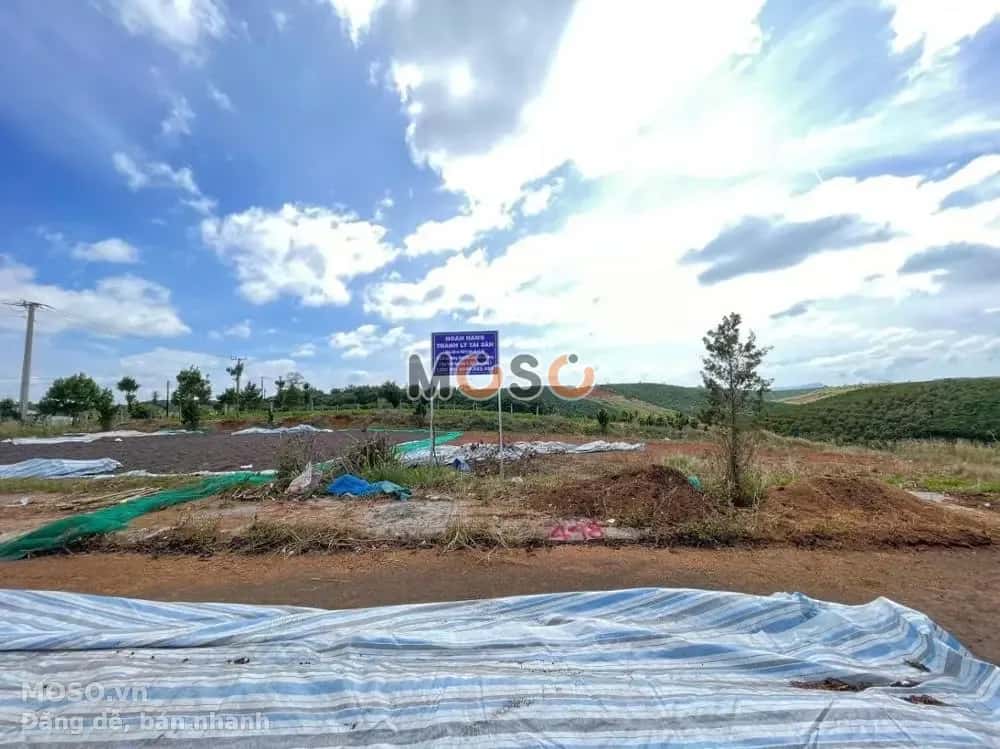 Bán đất Huyện Bảo Lâm, Lâm Đồng – giá 471.5 triệu - ảnh 5