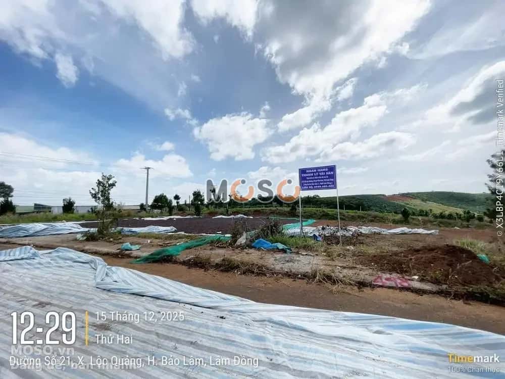Bán đất Huyện Bảo Lâm, Lâm Đồng – giá 471.5 triệu - ảnh 4