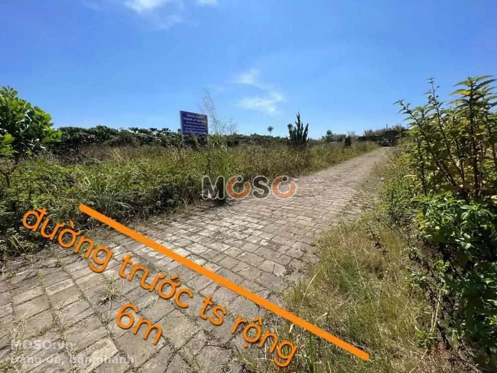 Bán đất Huyện Bảo Lâm, Lâm Đồng – giá 853 triệu - ảnh 2