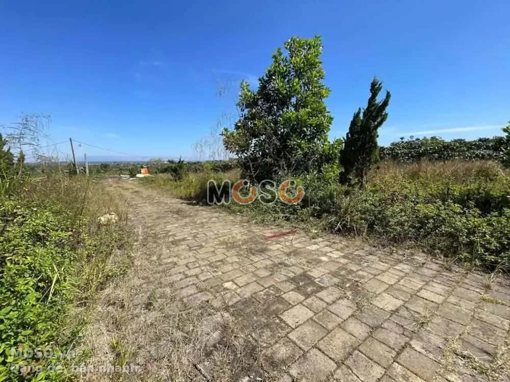 Bán đất Huyện Bảo Lâm, Lâm Đồng – giá 853 triệu - ảnh 3