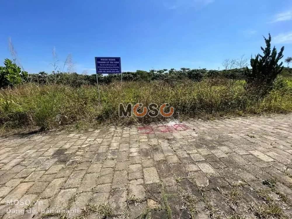 Bán đất Huyện Bảo Lâm, Lâm Đồng – giá 853 triệu - ảnh 4