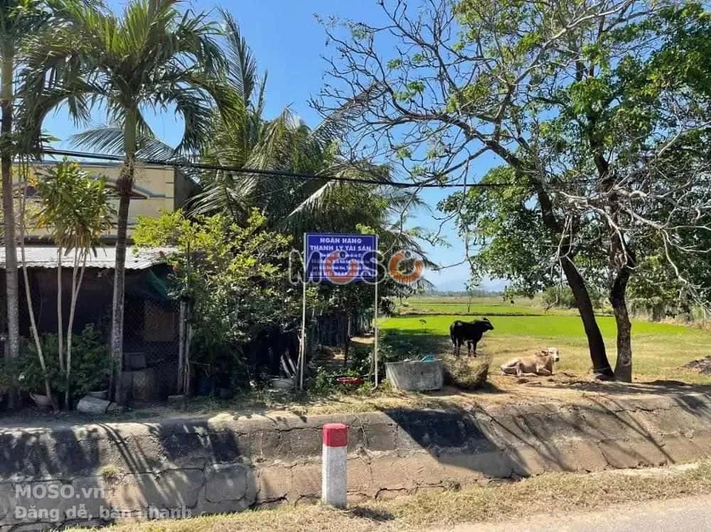 Bán đất Đường tỉnh 7 Thị xã Ninh Hòa, Khánh Hòa – giá 1.7 tỷ - ảnh 3