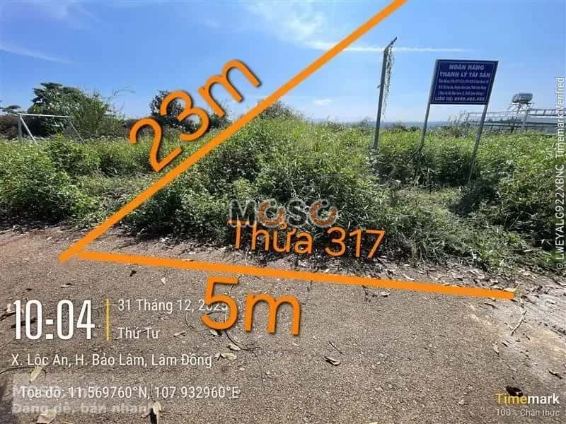 Bán đất Huyện Bảo Lâm, Lâm Đồng – giá 258.1 triệu - ảnh 1