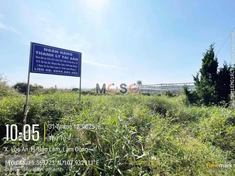 Bán đất Huyện Bảo Lâm, Lâm Đồng – giá 258.1 triệu - ảnh 3