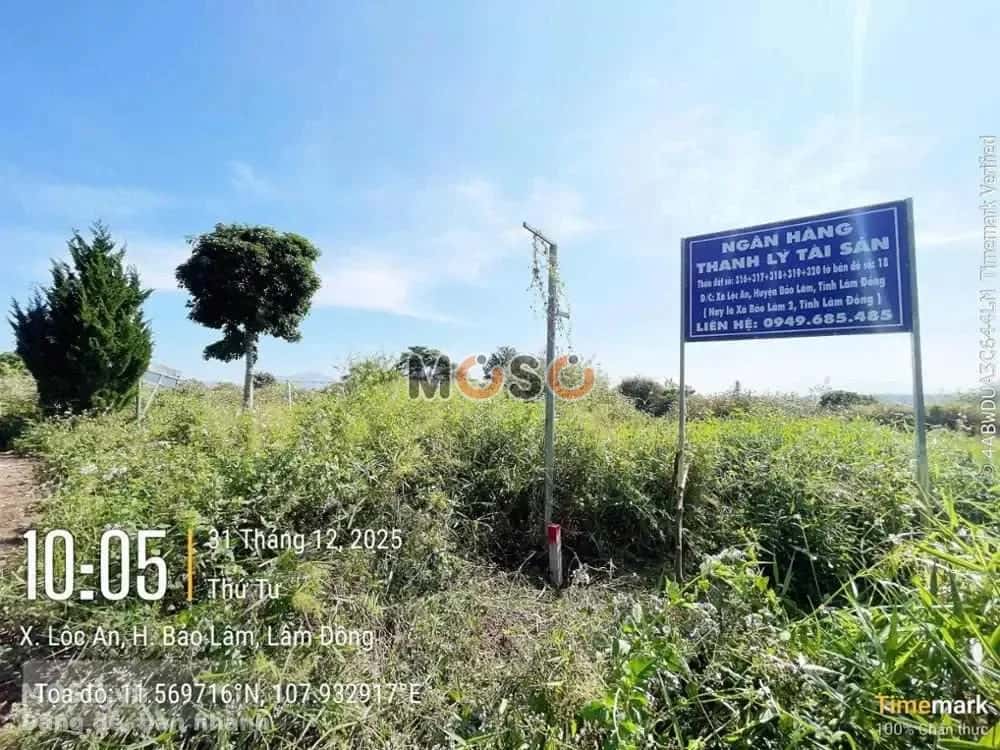 Bán đất Huyện Bảo Lâm, Lâm Đồng – giá 258.1 triệu - ảnh 4