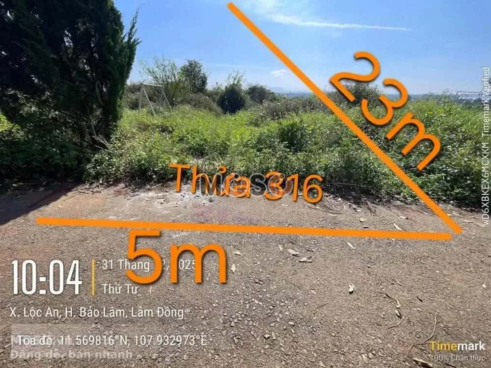 Bán đất Huyện Bảo Lâm, Lâm Đồng – giá 258.1 triệu - ảnh 1