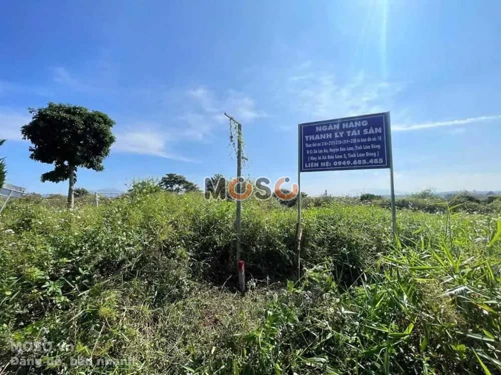 Bán đất Huyện Bảo Lâm, Lâm Đồng – giá 258.1 triệu - ảnh 3