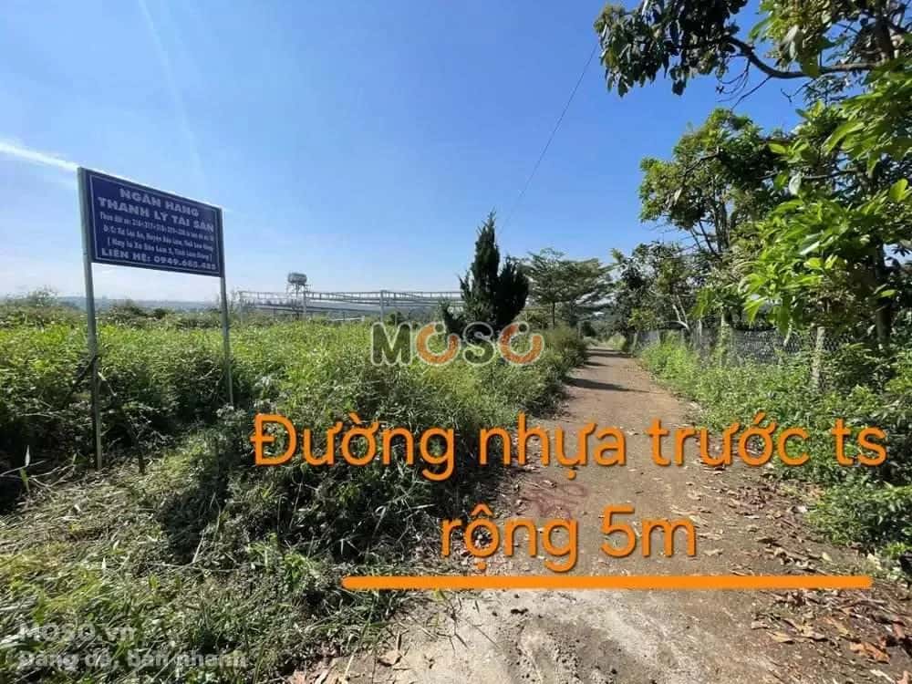 Bán đất Huyện Bảo Lâm, Lâm Đồng – giá 258.1 triệu - ảnh 2
