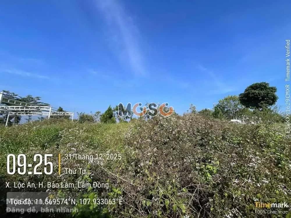Bán đất Huyện Bảo Lâm, Lâm Đồng – giá 258.8 triệu - ảnh 2