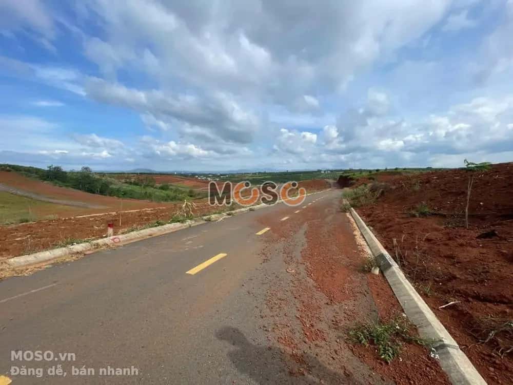 Bán đất Trần Phú Huyện Bảo Lâm, Lâm Đồng – giá 1.1 tỷ - ảnh 4