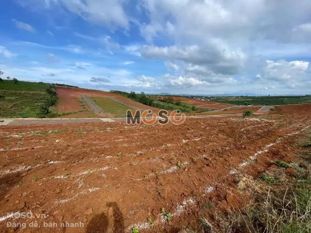 Bán đất Trần Phú Huyện Bảo Lâm, Lâm Đồng – giá 1.1 tỷ - ảnh 5