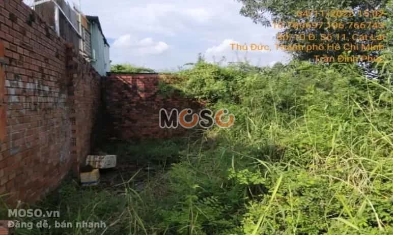 Bán đất Đường Số 11 Thành phố Thủ Đức, TP.HCM – giá 7.2 tỷ - ảnh 5