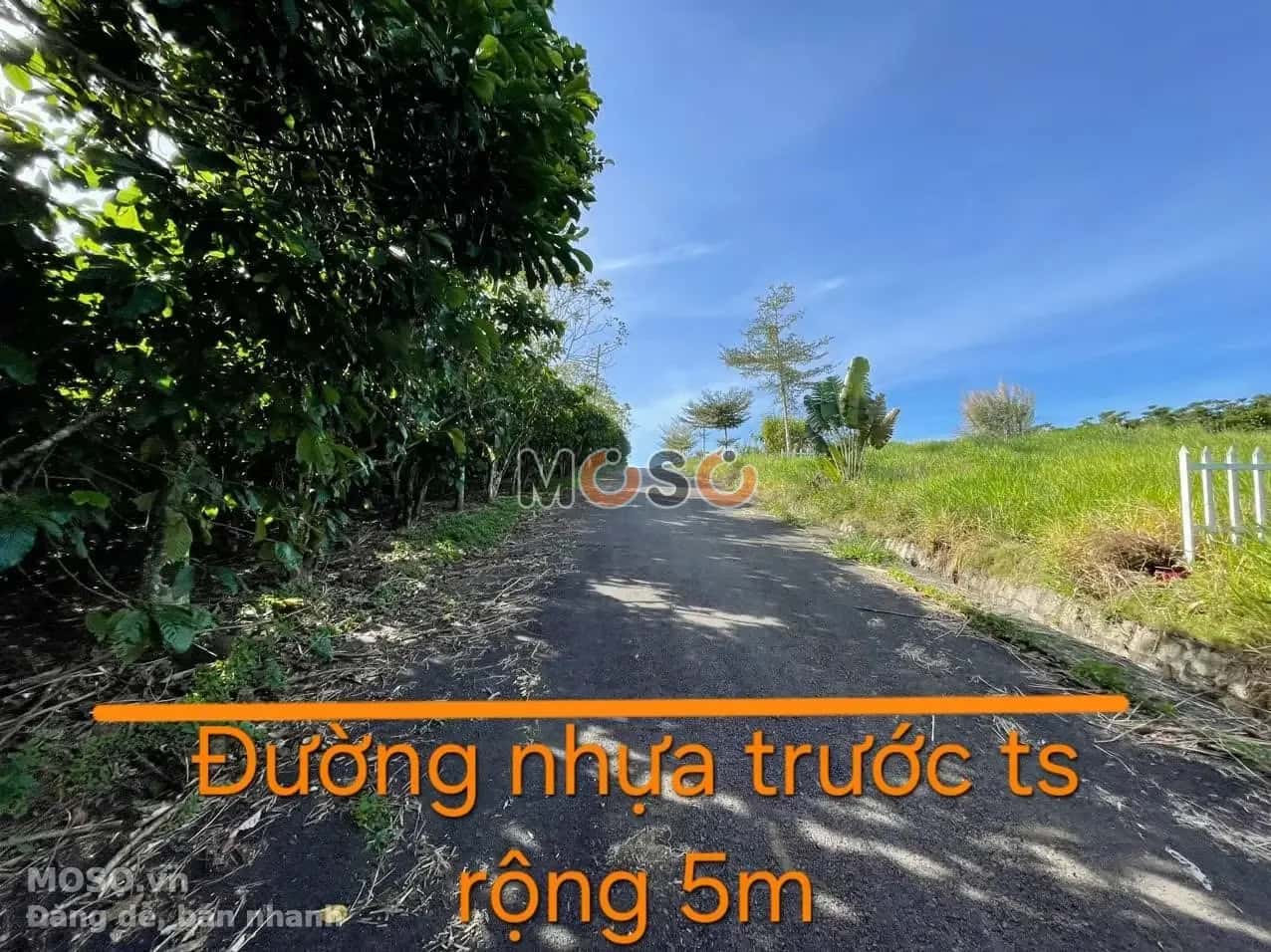 Bán đất Huyện Bảo Lâm, Lâm Đồng – giá 397.6 triệu - ảnh 2