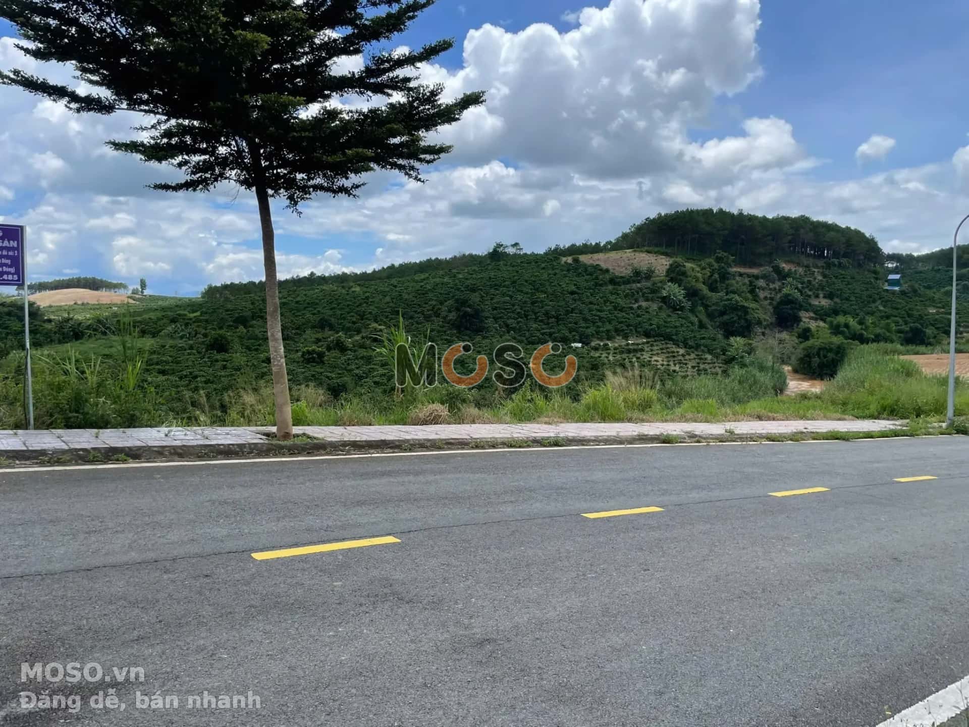 Bán đất Đường tỉnh 725 Huyện Lâm Hà, Lâm Đồng – giá 786 triệu - ảnh 5