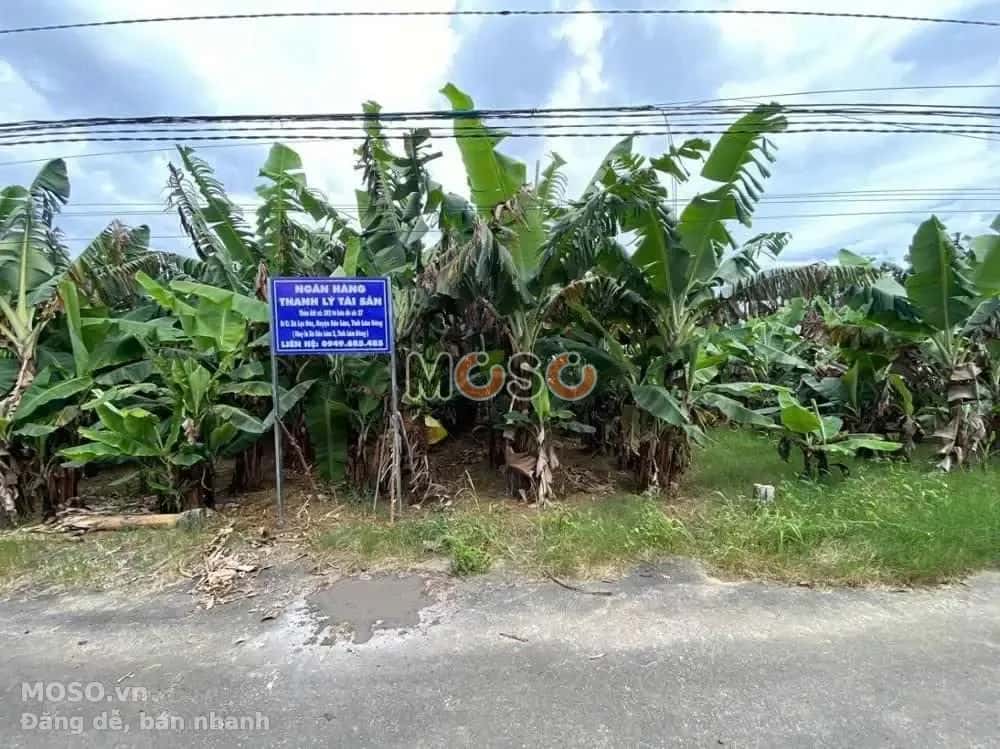Bán đất Huyện Bảo Lâm, Lâm Đồng – giá 565 triệu - ảnh 4